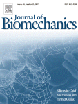 Analysis of contribution of collagen fibre component in viscoelastic behaviour of periodontal ligament using enzyme probe