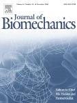 Hamstring muscle kinematics and activation during overground sprinting