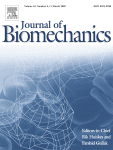 C4–C5 segment finite element model development, validation, and load-sharing investigation
