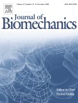 Validity of architectural properties of the hamstring muscles: Correlation of ultrasound findings with cadaveric dissection