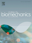Biomechanical simulation of high-heeled shoe donning and walking