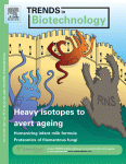 Selection methods for high-producing mammalian cell lines