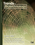 Spider silks and their applications