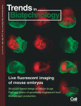 Low-frequency ultrasound in biotechnology: state of the art