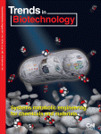 Advances in bacterial exopolysaccharides: from production to biotechnological applications