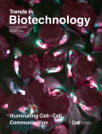 ‘Do Not Privatize the Giant's Shoulders’: Rethinking Patents in Plant Breeding