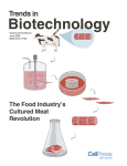 The Business of Cultured Meat