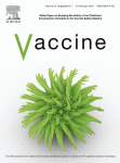 White Paper on studying the safety of the childhood immunization schedule in the Vaccine Safety Datalink
