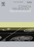 Ultrastructural analysis of vascular features in cerebral cavernous malformations