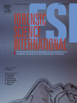 Image processing of false identity documents for forensic intelligence