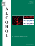 Effect of prenatal ethanol exposure on sexual motivation in adult rats