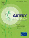 Role of aortic calcification, stiffness and wave reflections in cardiovascular risk in dialysis patients: Baseline data from the CORD study