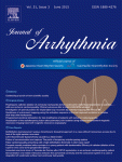 Visualization of the radiofrequency lesion after pulmonary vein isolation using delayed enhancement magnetic resonance imaging fused with magnetic resonance angiography