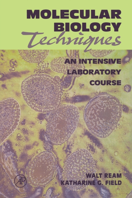 Molecular biology techniques : an intensive laboratory course