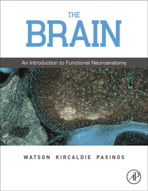 The brain : an introduction to functional neuroanatomy