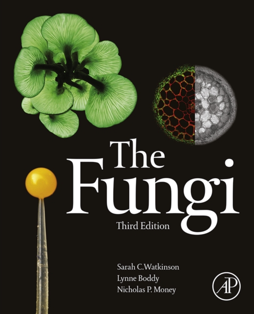 The fungi