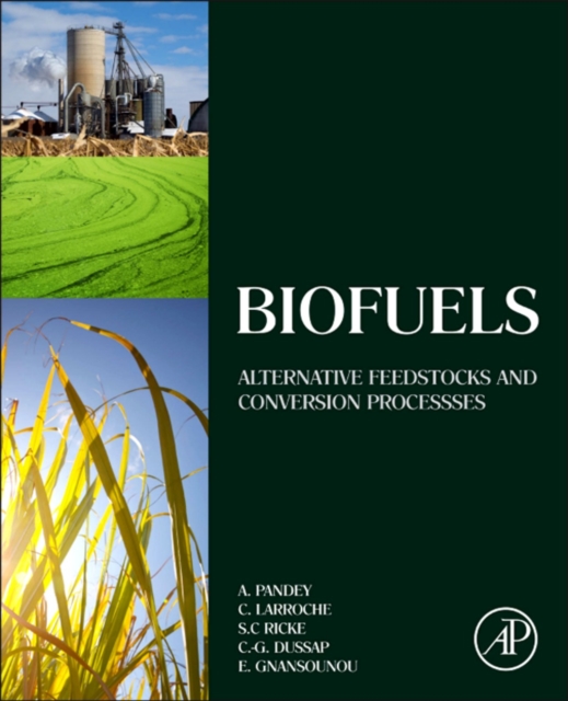 Biofuels - Alternative Feedstocks and Conversion Processes
