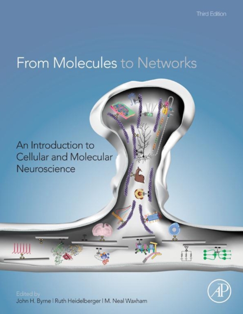 From molecules to networks : an introduction to cellular and molecular neuroscience