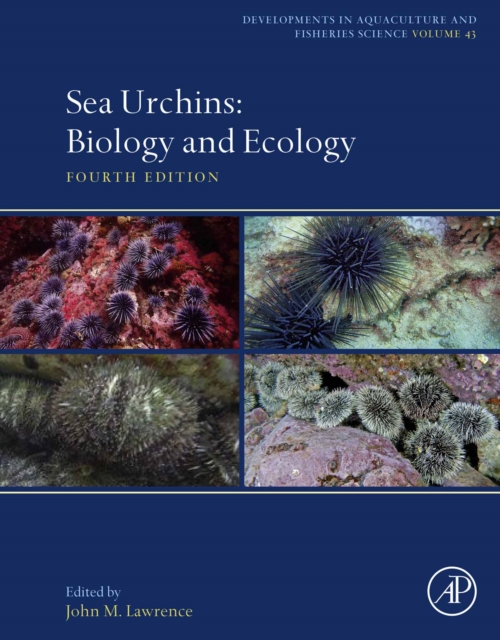 Sea urchins : biology and ecology