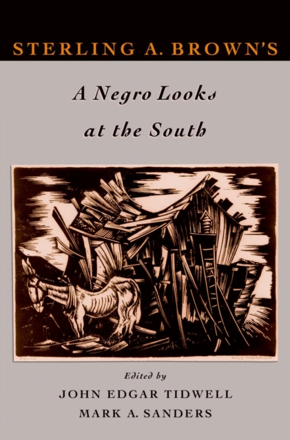 Sterling A. Brown's a Negro looks at the South
