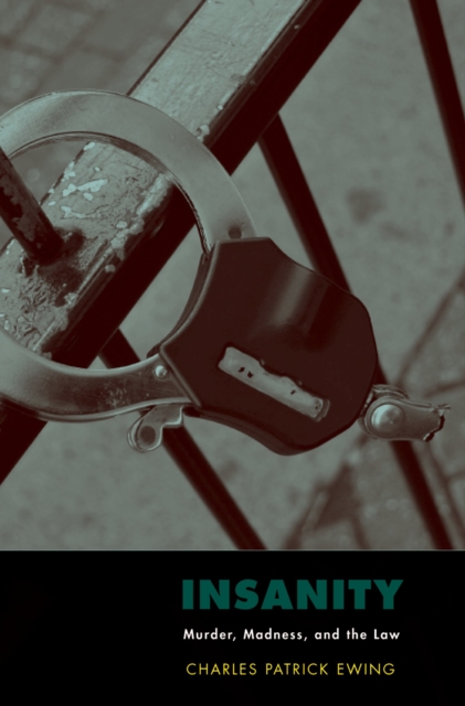 Insanity : murder, madness, and the law