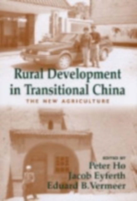 Rural Development in Transitional China