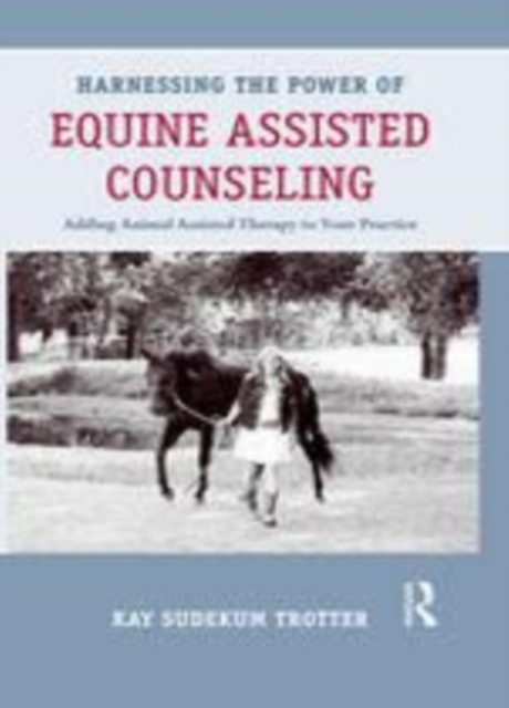 Harnessing the power of equine assisted counseling