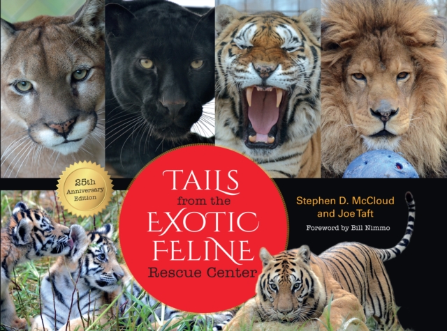 Tails from the Exotic Feline Rescue Center