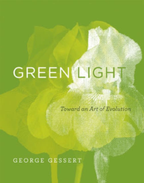 Green light : toward an art of evolution