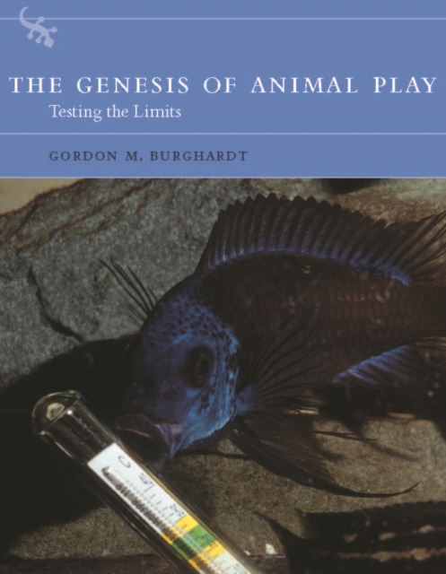 genesis of animal play