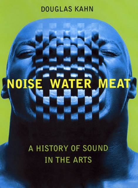 Noise, water, meat : a history of sound in the arts