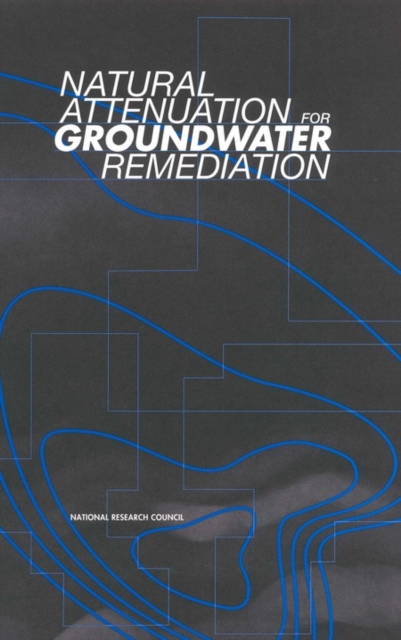 Natural attenuation for groundwater remediation