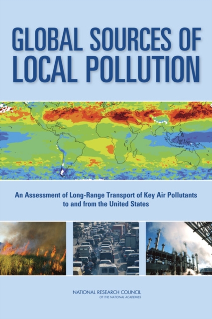 Global sources of local pollution