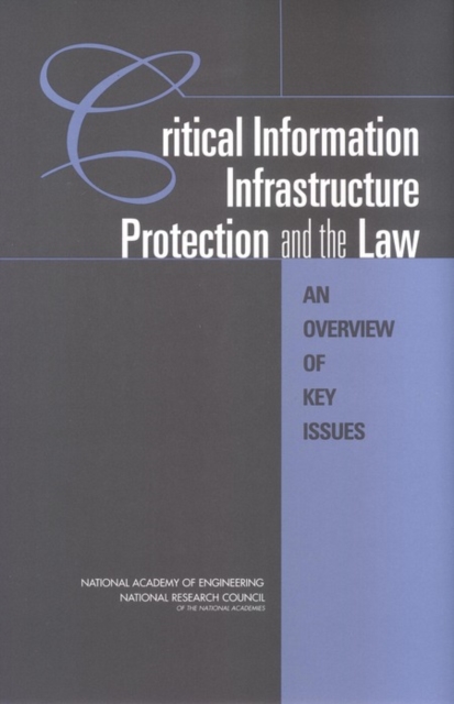 Critical information infrastructure protection and the law : an overview of key issues