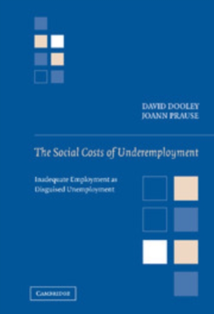 The Social Cost of Underemployment