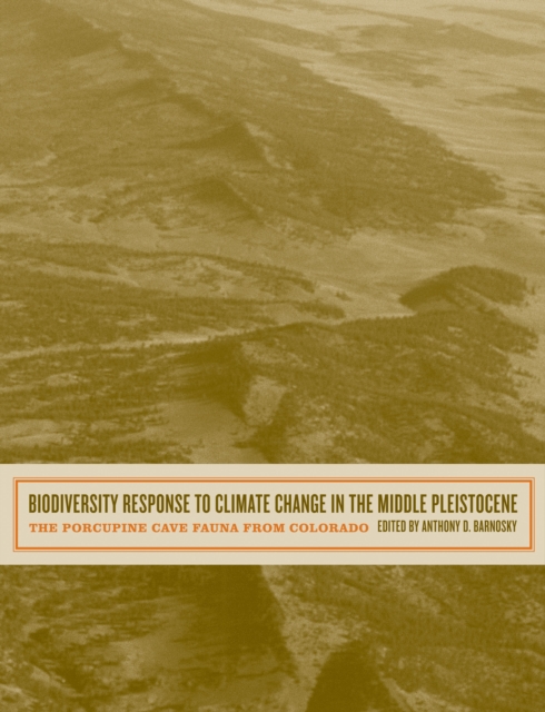 Biodiversity response to climate change in the middle Pleistocene
