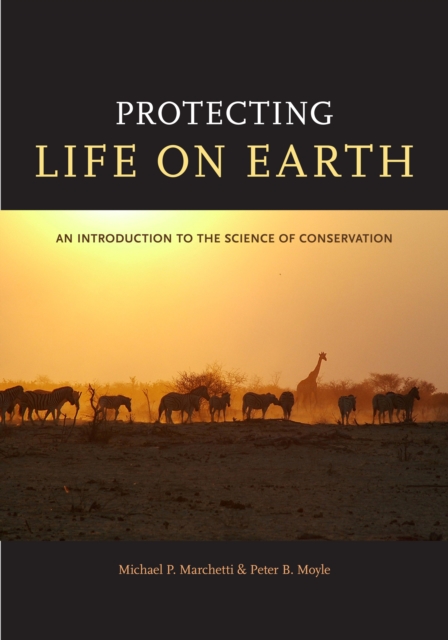 Protecting life on Earth
