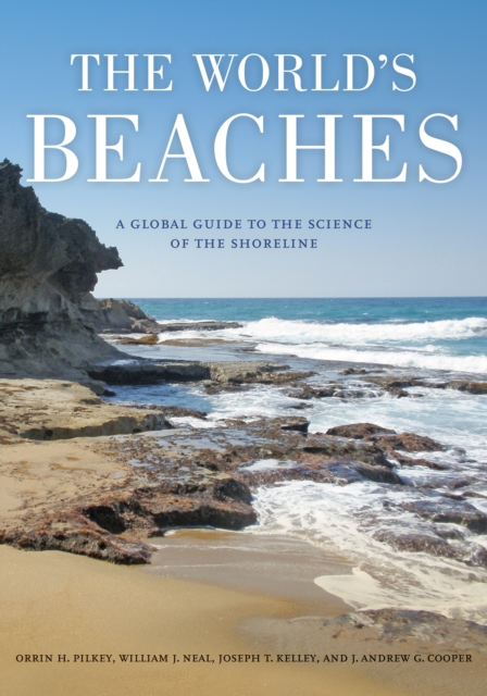 The world’s beaches