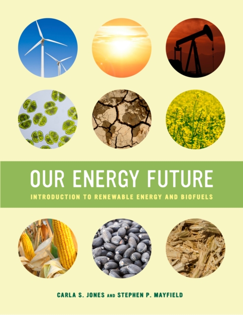 Our energy future
