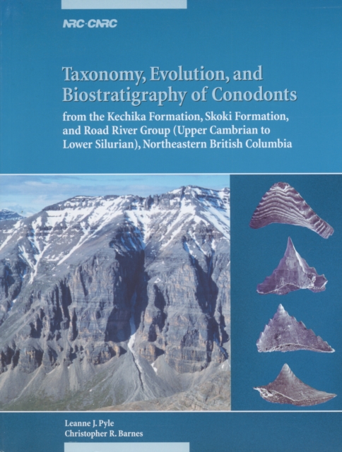 Taxonomy, evolution, and biostratigraphy of conodonts from the the Kechika Formation, Skoki Formation and Road River Group (Upper Cambrian to Lower Silurian), Northeastern British Columbia