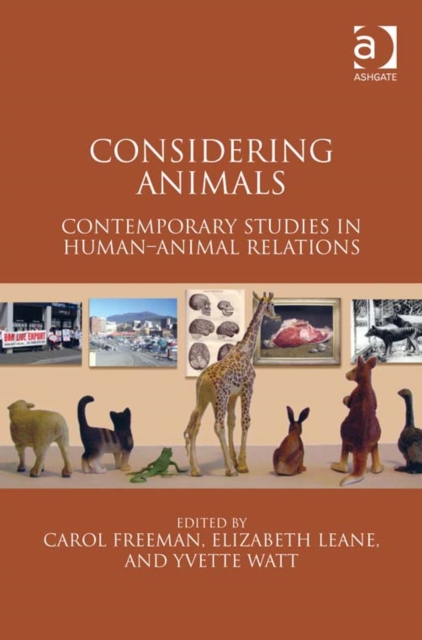 Considering Animals