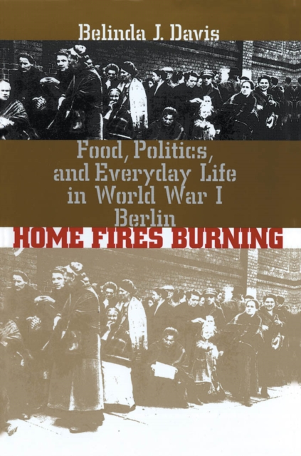 Home fires burning : food, politics, and everyday life in World War I Berlin