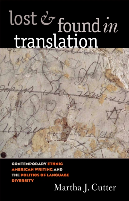 Lost and found in translation : contemporary ethnic American writing and the politics of language diversity