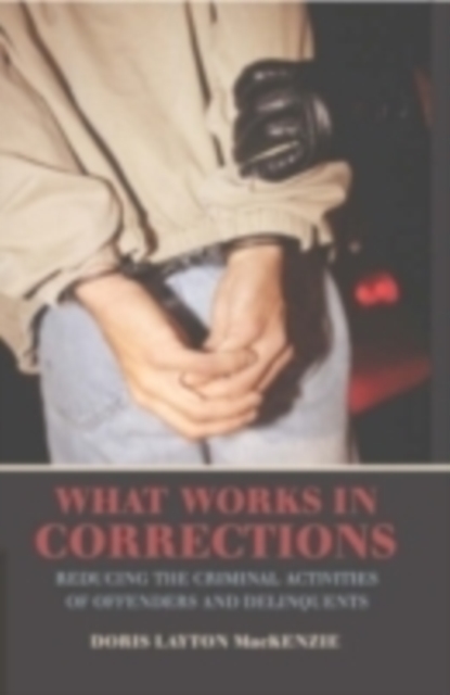 What works in corrections : reducing the criminal activities of offenders and delinquents