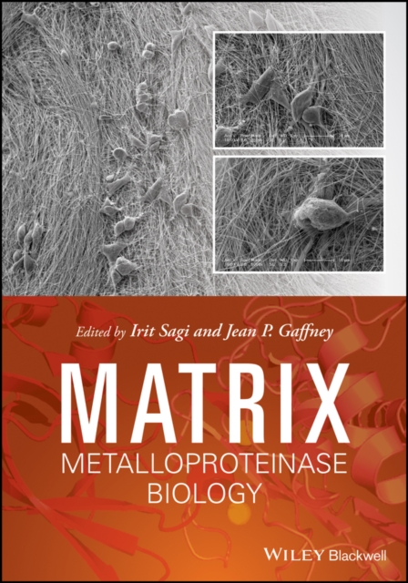 Matrix metalloproteinase biology