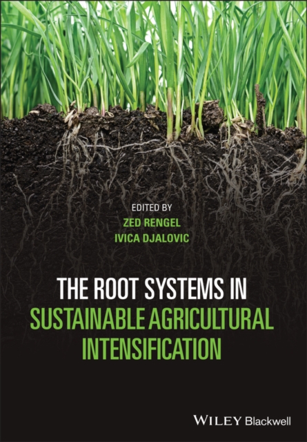 The root systems in sustainable agricultural intensification