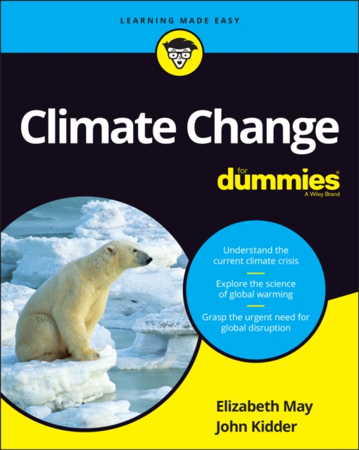 Climate change for dummies