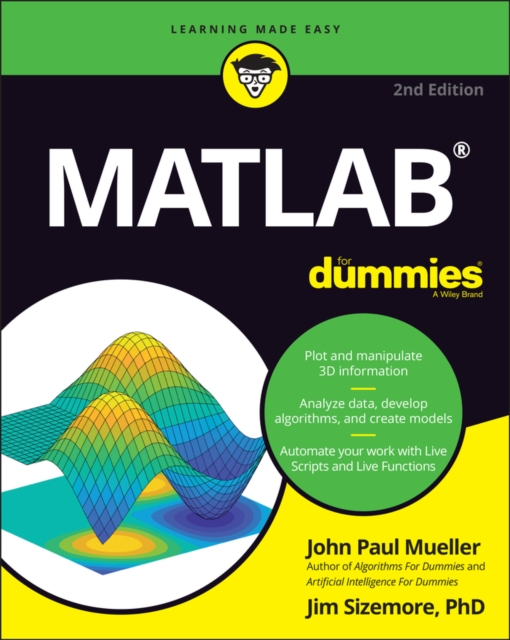 MATLAB for dummies