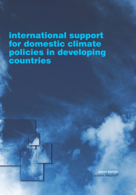 International support for domestic climate policies in developing countries