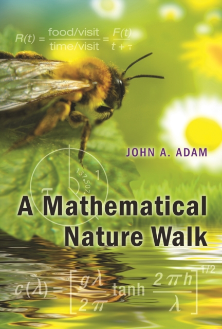 A mathematical nature walk